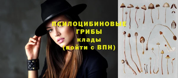 метадон Каменск-Шахтинский