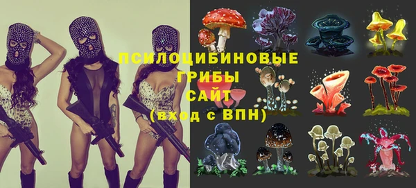 jwh Каменка