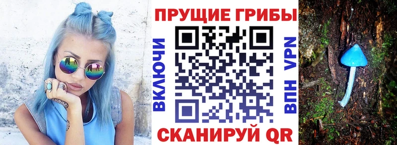 Галлюциногенные грибы Magic Shrooms Зима