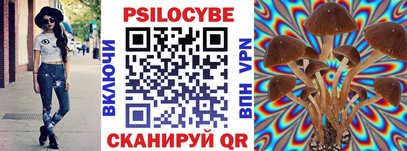 Купить  Зима  Галлюциногенные грибы MAGIC MUSHROOMS 